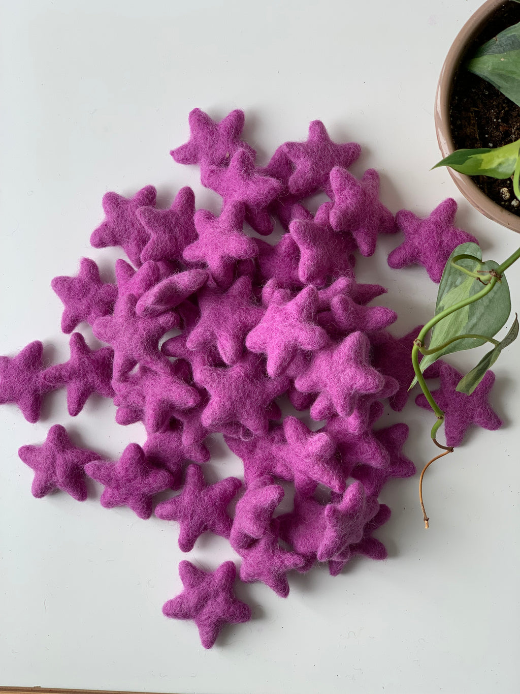 Multiple handmade purple felt stars scattered on white surface near potted green plant leaves
