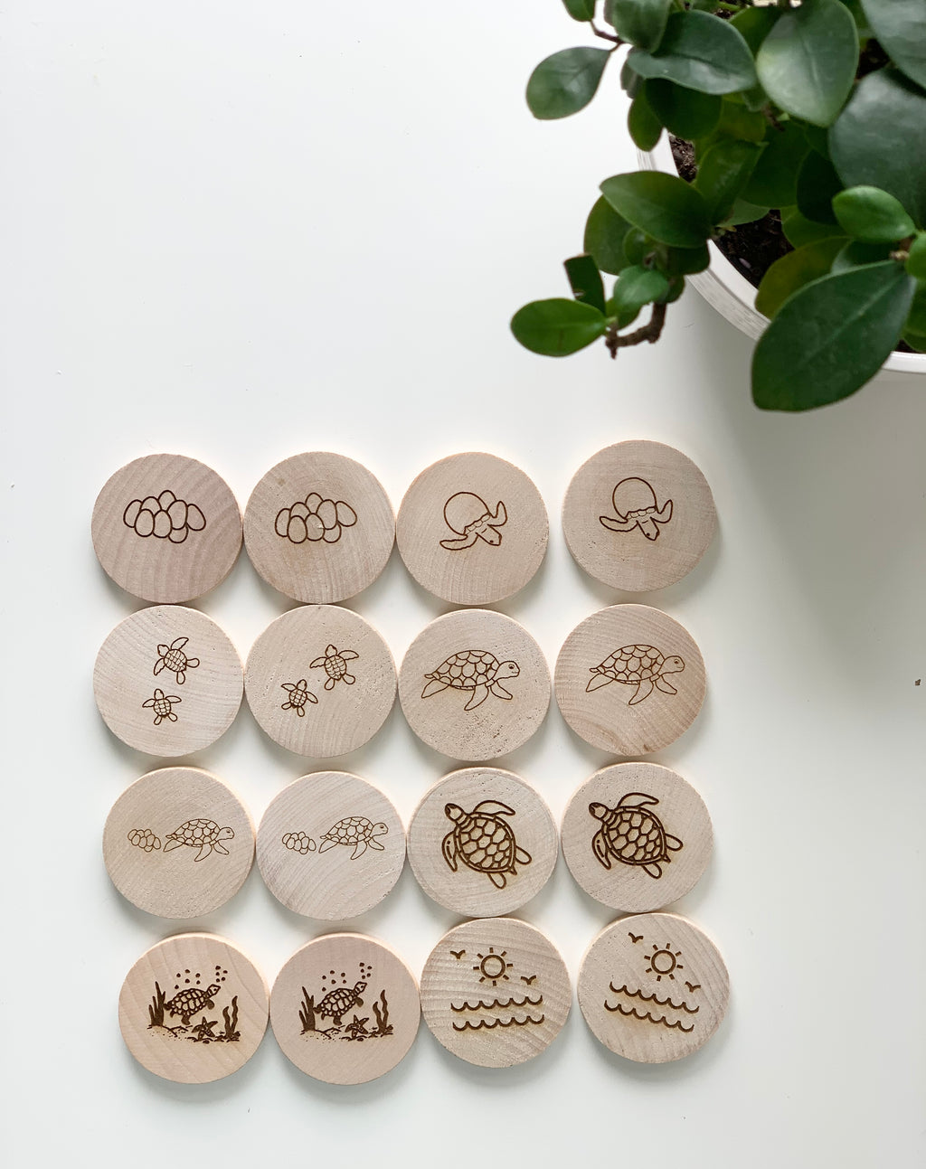 Natural wooden 2-inch discs with engraved turtle life cycle stages and ocean scenes arranged in rows on white surface
