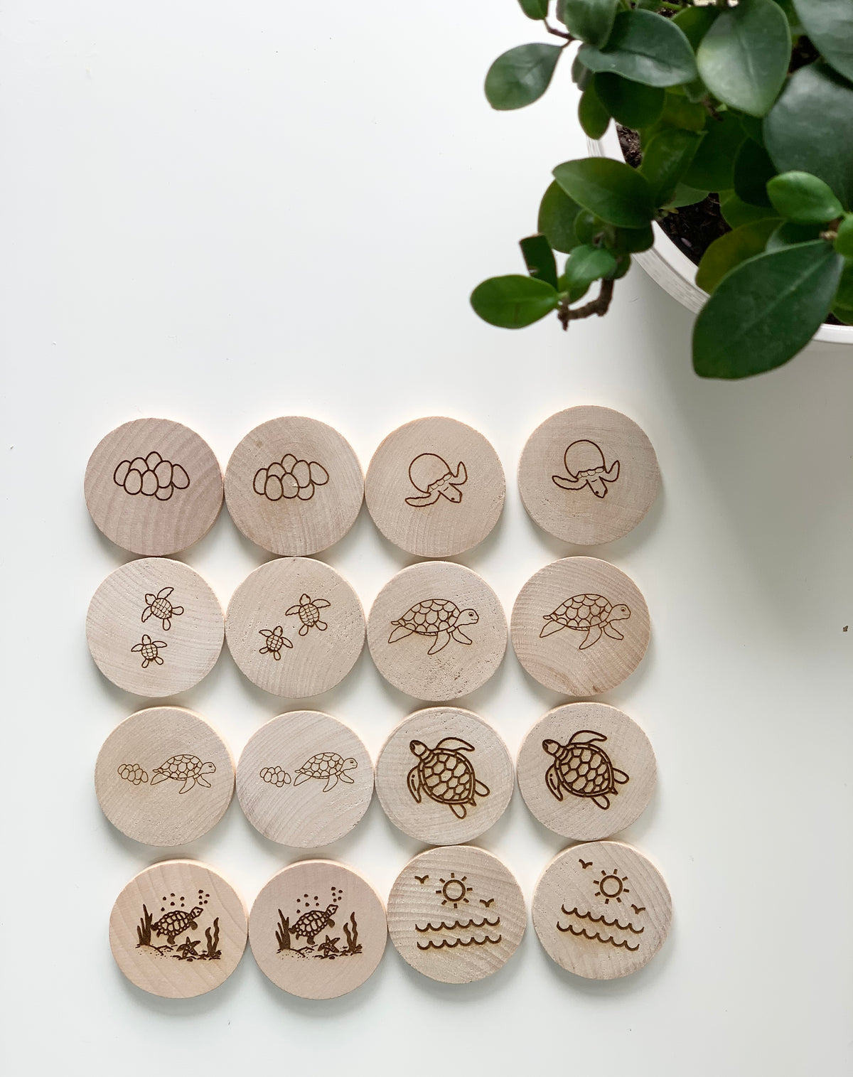 Natural wooden 2-inch discs with engraved turtle life cycle stages and ocean scenes arranged in rows on white surface