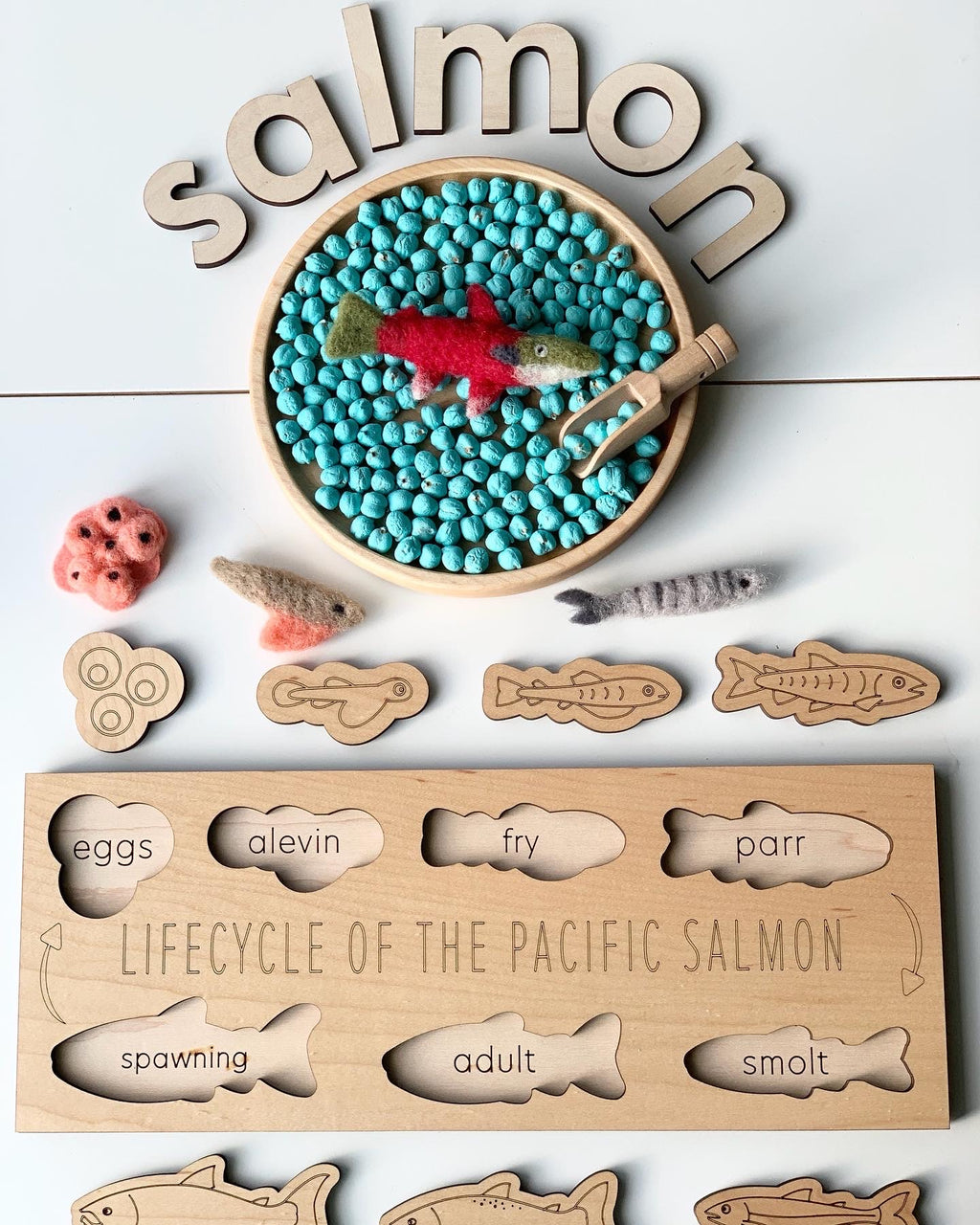 Wooden salmon life cycle puzzle pieces with felt fish and blue beads in round tray with wooden letters spelling salmon