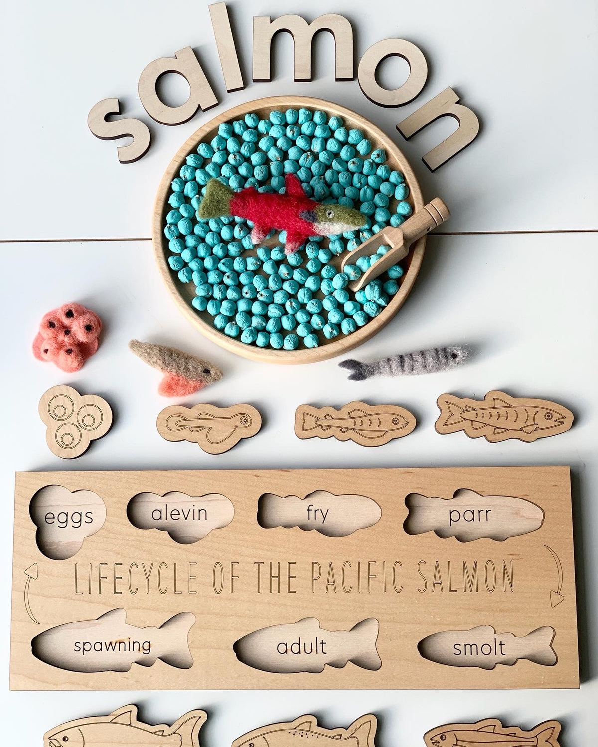Wooden salmon life cycle puzzle pieces with felt fish and blue beads in round tray with wooden letters spelling salmon