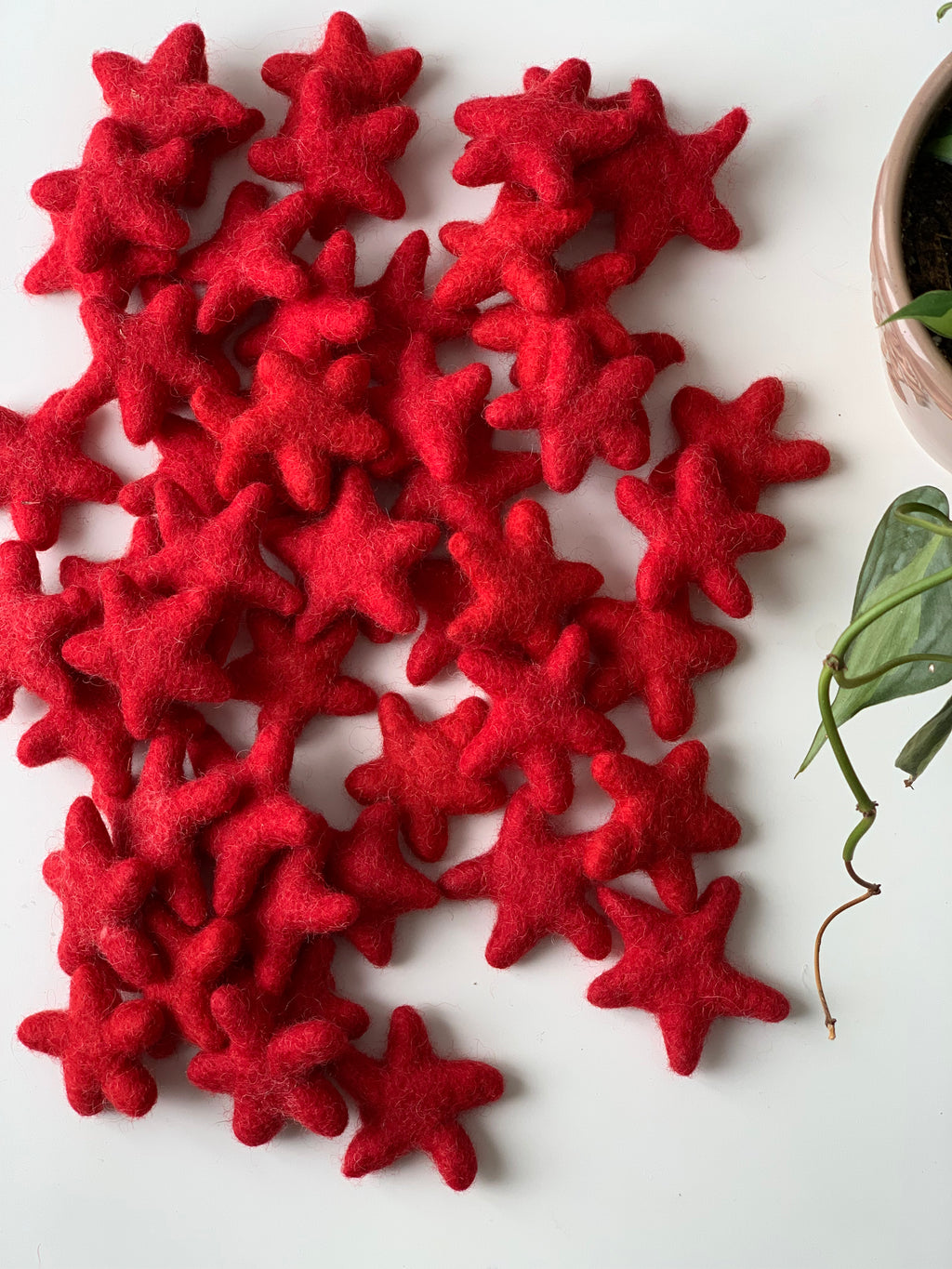 Multiple handmade red felt stars made from pure wool scattered on white surface near green potted plant