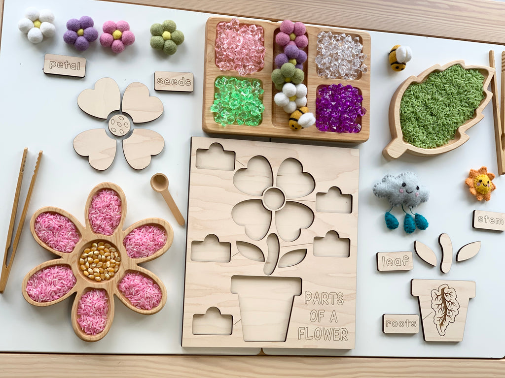 Wooden parts of a flower puzzle with labeled pieces, colorful textured fillers, and natural materials on white background