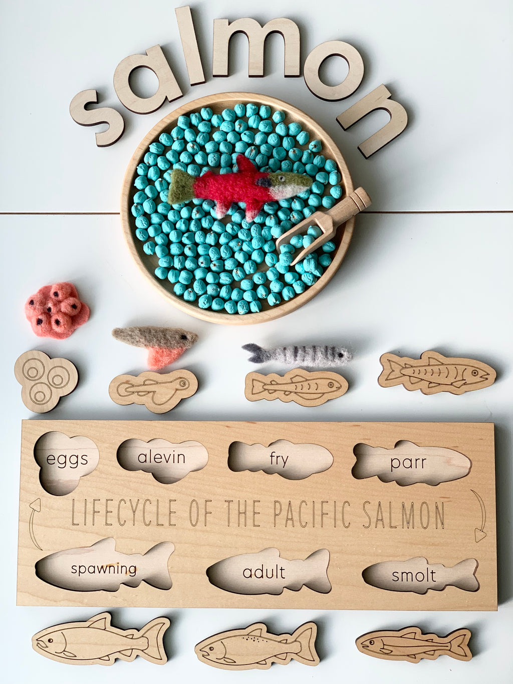Wooden salmon life cycle puzzle with labeled fish stages and felt salmon pieces on round tray filled with blue beads