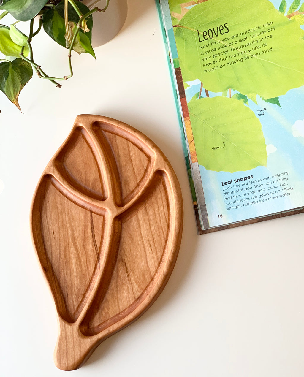 Leaf-shaped wooden tinker sensory tray with natural wood grain on white surface next to an open book and plant leaves
