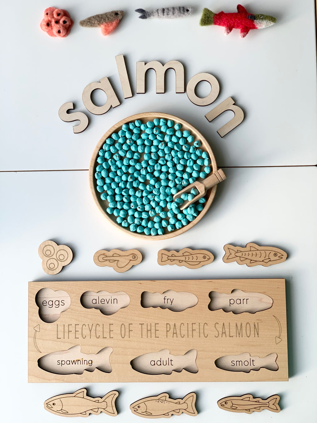 Wooden salmon life cycle puzzle with stages eggs, alevin, fry, parr, smolt, adult, and spawning on white background