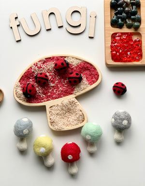 Handmade red and black felt ladybugs on wooden mushroom tray with colored rice and felt mushrooms on white background