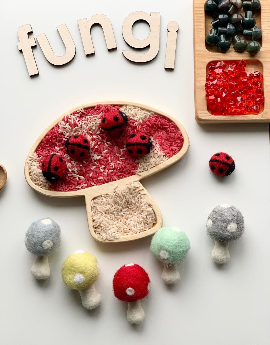 Handmade red and black felt ladybugs on wooden mushroom tray with colored rice and felt mushrooms on white background