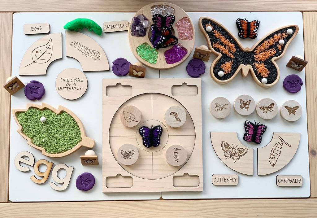 Educational wooden butterfly life cycle memory game with painted discs, stamps, and sorting trays on light wood table