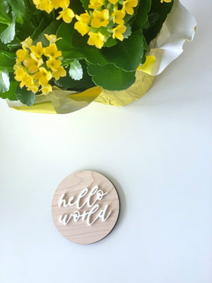 Natural wooden monthly milestone disc with raised white cursive "hello world" text beside yellow flowering plant on white surface