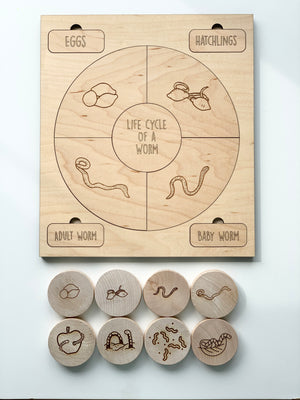 Natural wooden life cycle puzzle of a worm with engraved stages and matching wooden pieces on white surface