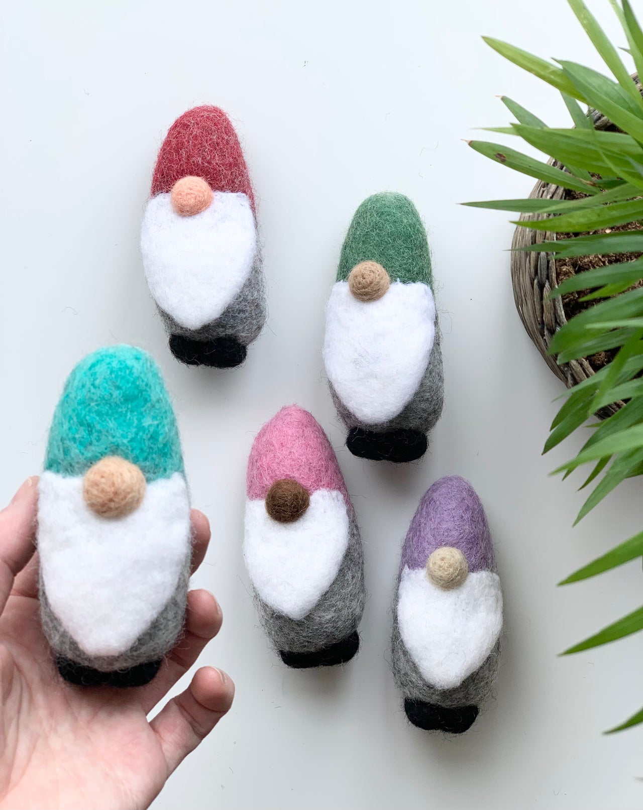 Handmade felt gnomes in blue, red, green, pink, and purple hats displayed on white background with green plant nearby
