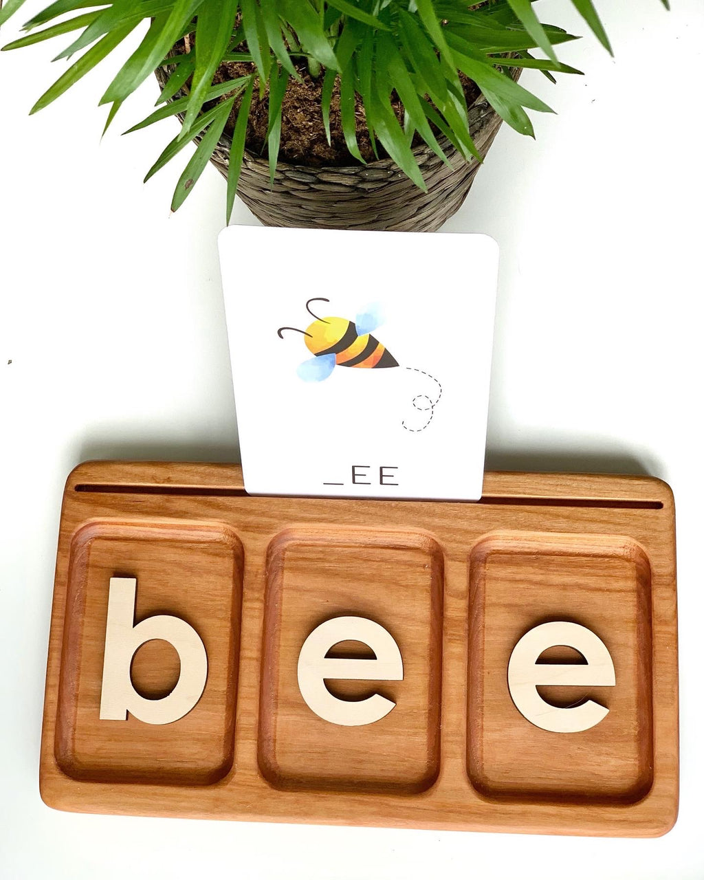 Natural wooden three-section tray with wooden letters spelling bee and illustrated flash card with bee on white background