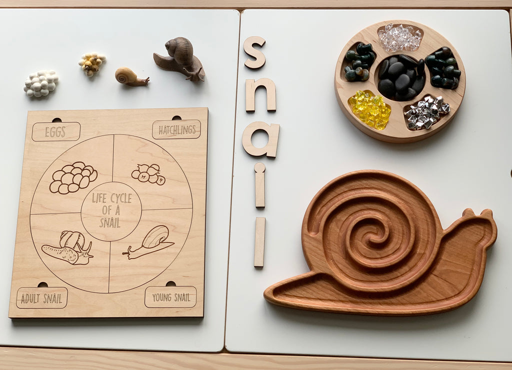 Cherry wood snail plate sensory tray with divided sections and life cycle of a snail educational puzzle pieces on white surface
