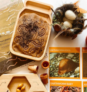 Small wooden jar-shaped sensory tray with earthworm imprints, surrounded by educational cards and natural play materials on white table