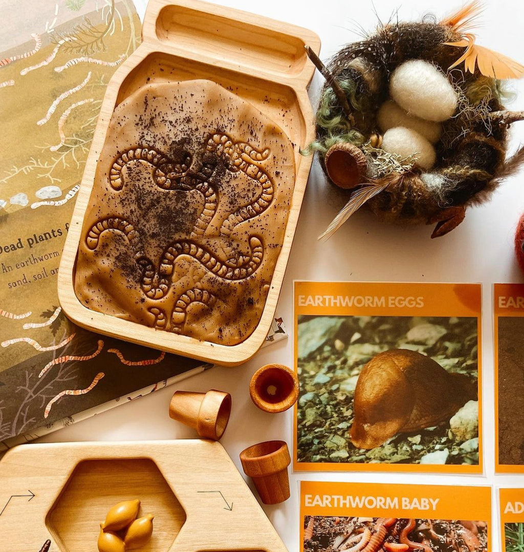Small wooden jar-shaped sensory tray with earthworm imprints, surrounded by educational cards and natural play materials on white table