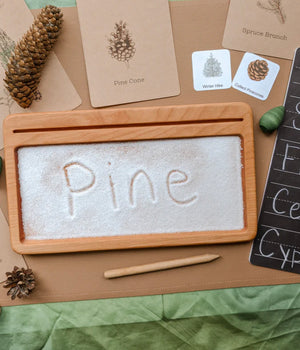 Rectangle wooden writing tray filled with salt showing word Pine written, surrounded by pine cone and nature flash cards