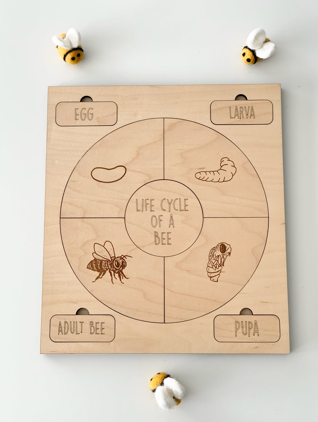Wooden life cycle puzzle board showing bee stages egg, larva, pupa, and adult with small plush bees on white surface